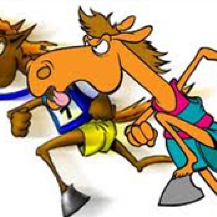 Race Night 14 November @ 7.30pm